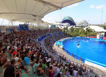delfinario oceanografic