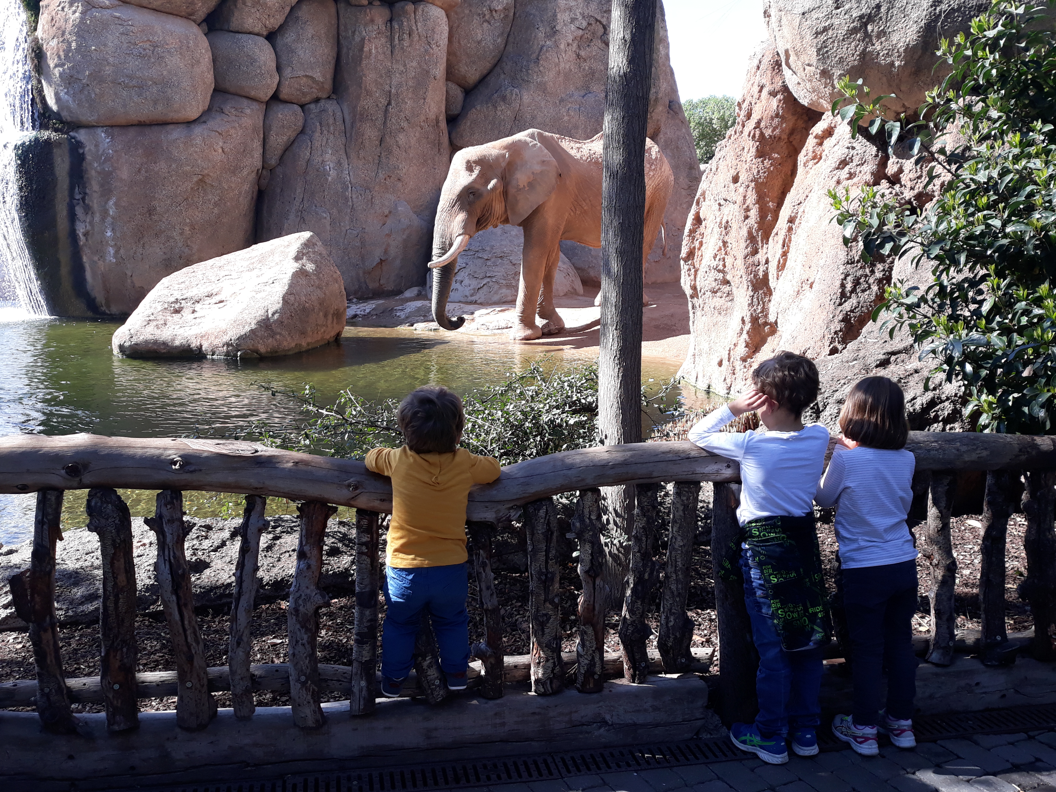 Bioparc