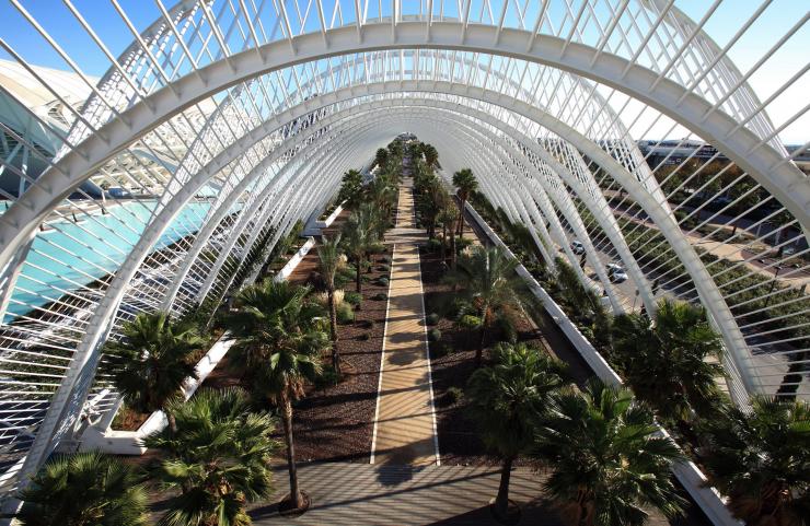 Umbracle Valencia
