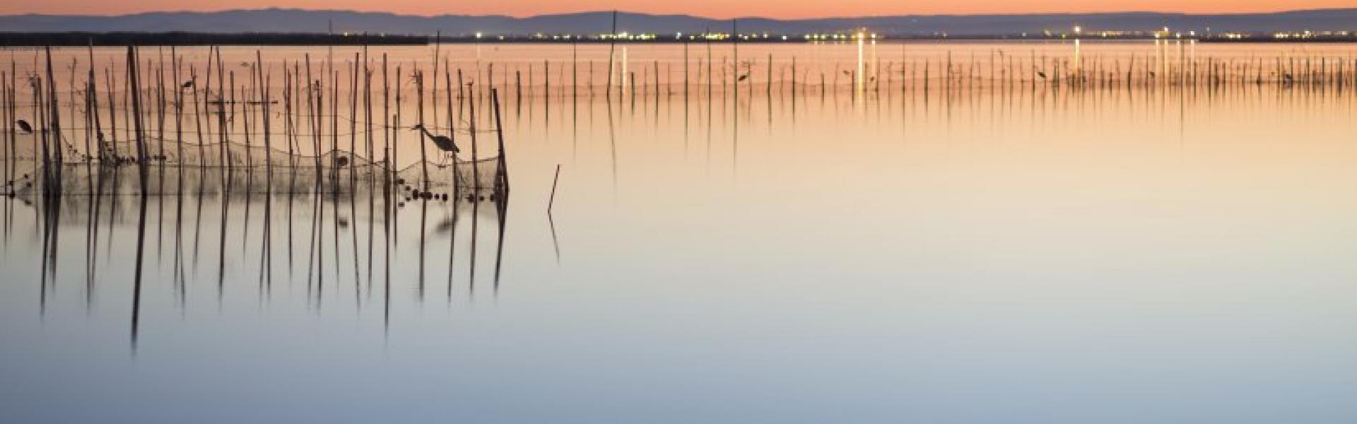 atardecer albufera lago