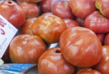 Tomate valenciano