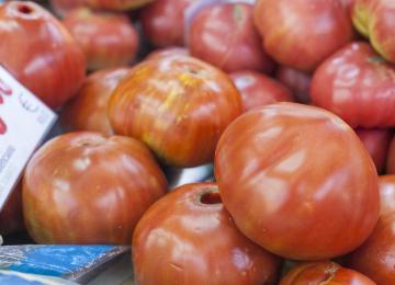 Tomate valenciano