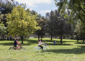 ruta bici