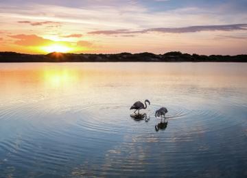 Albufera Valencia