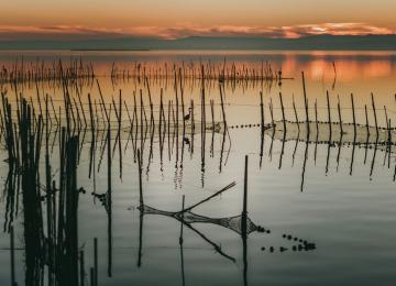 Atardecer albufera 