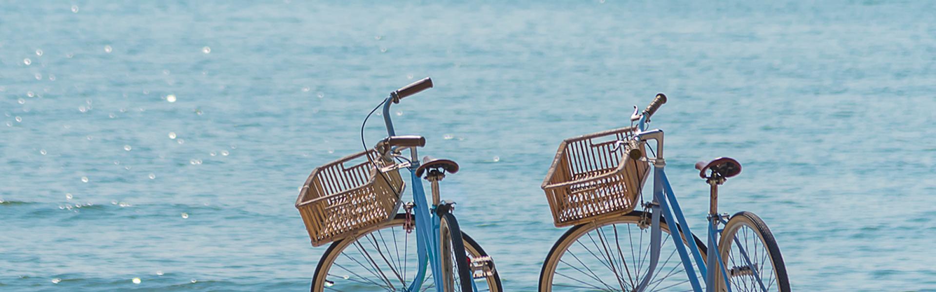 Alquiler Bicicletas