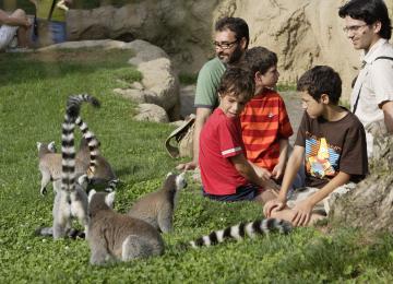 Bioparc valencia