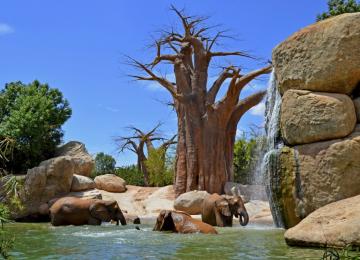 Bioparc València