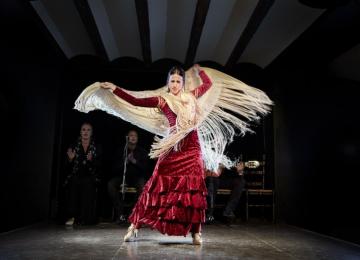la buleria mujer bailando