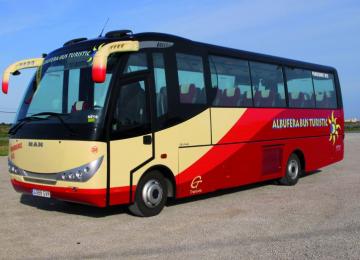 bus turistic albufera bus