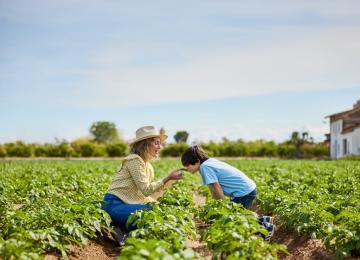 Huerta