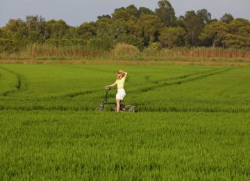 En bici por arrozales