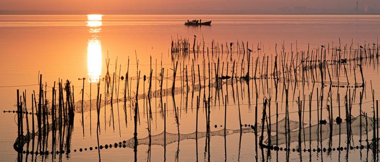 Pesca Albufera