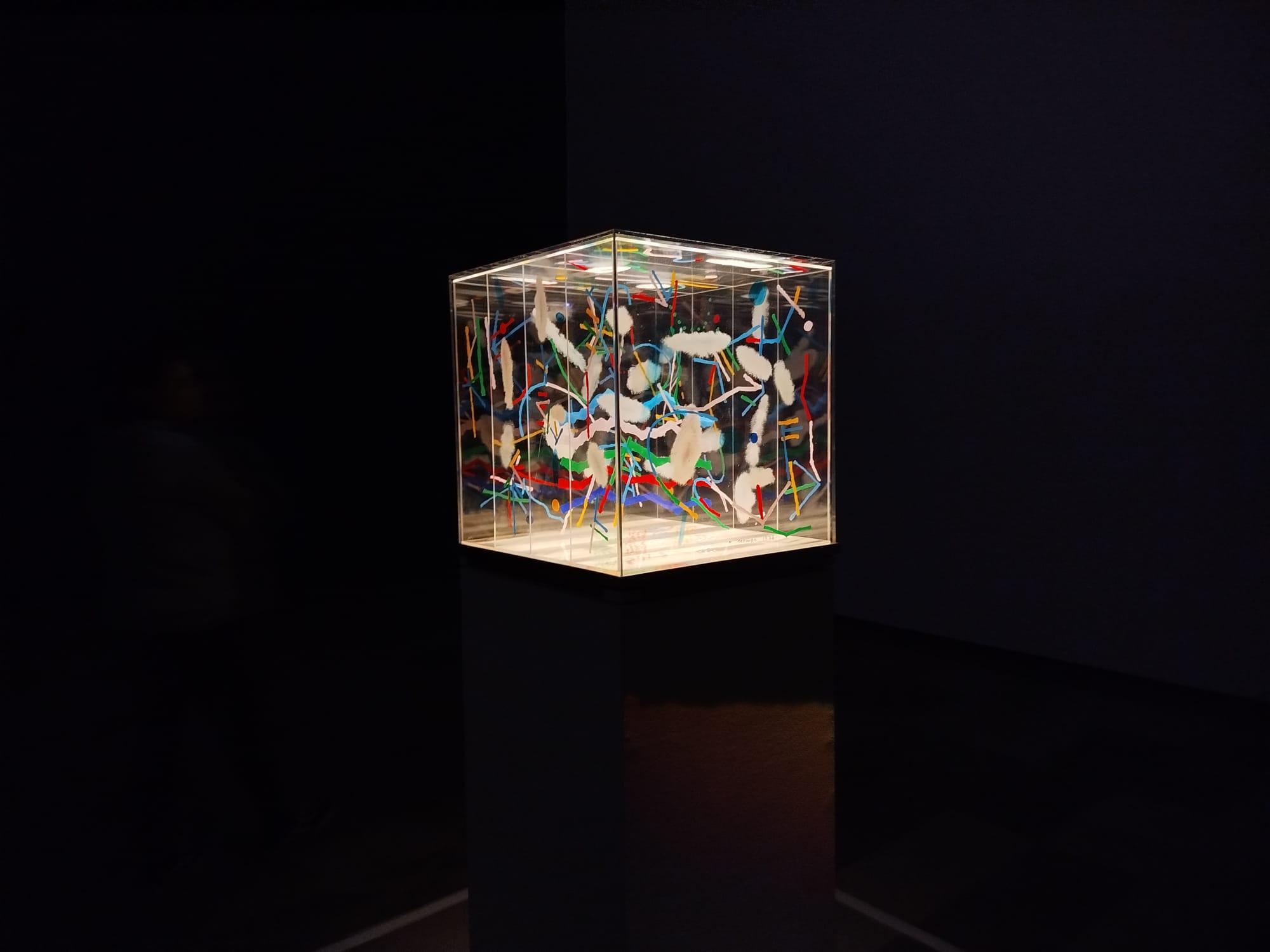 Colección Thyssen Valencia