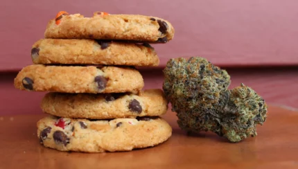 Medicated cookies